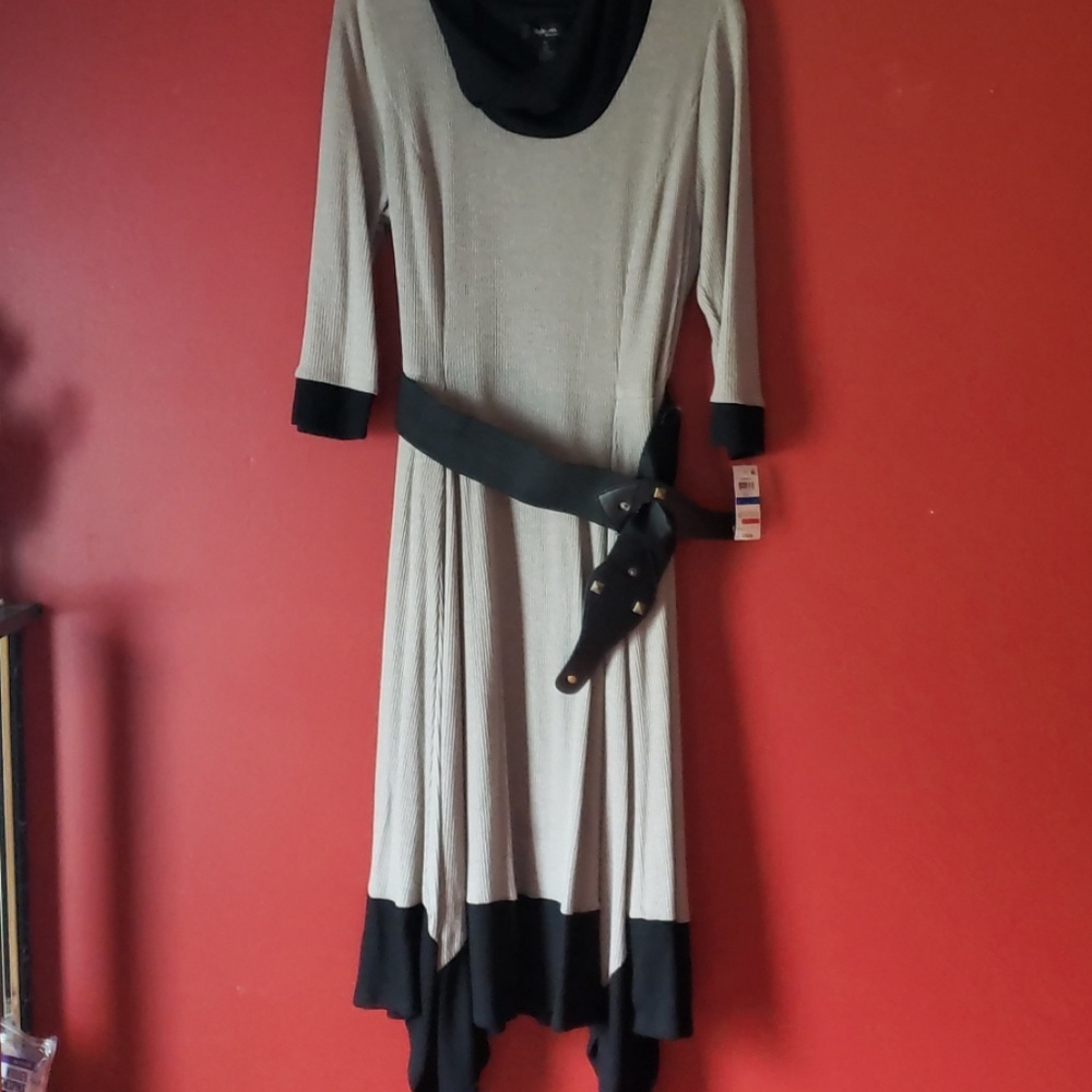 Ladies Dress